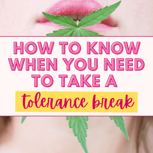 How to know when you need to take a tolerance break (1200)