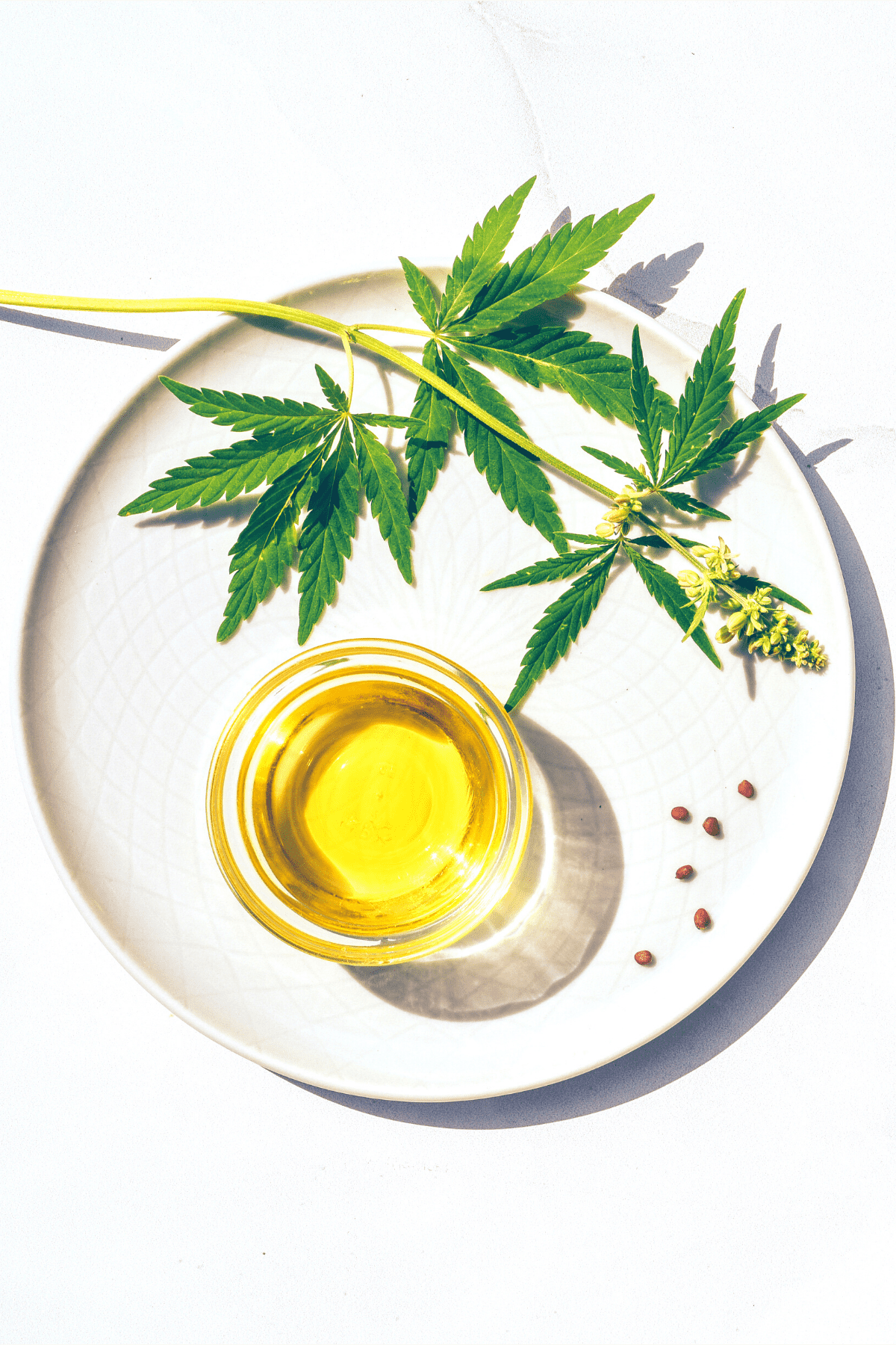 A white plate with a cannabis leaf and cannabis oil
