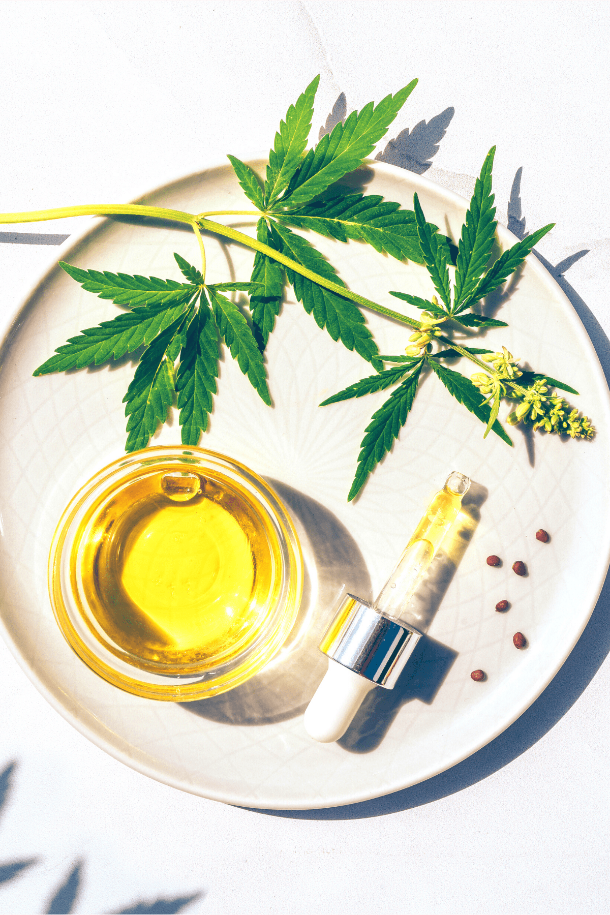 A white plate with a cannabis leaf and cannabis oil