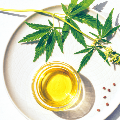 A picture of cannabis oil and cannabis leaves.