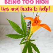 Text stating How To Calm Down From Being Too High with a picture of a cannabis bouquet.