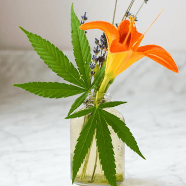 A picture of a cannabis bouquet.