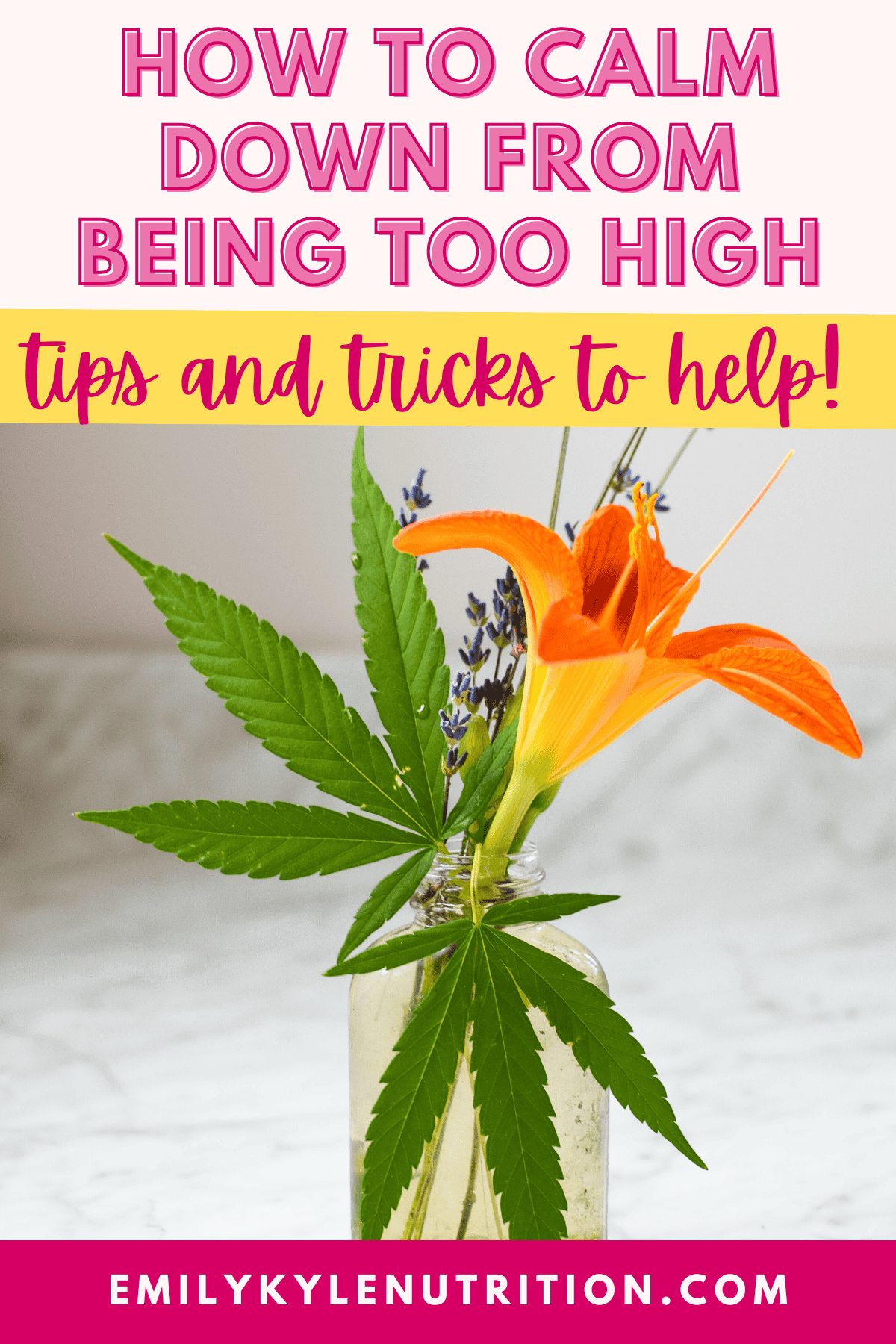 Text stating How To Calm Down From Being Too High with a picture of a cannabis bouquet. 