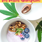 A picture of a cannabis breakfast bowl with text that says two good reasons to pair edibles with fat.