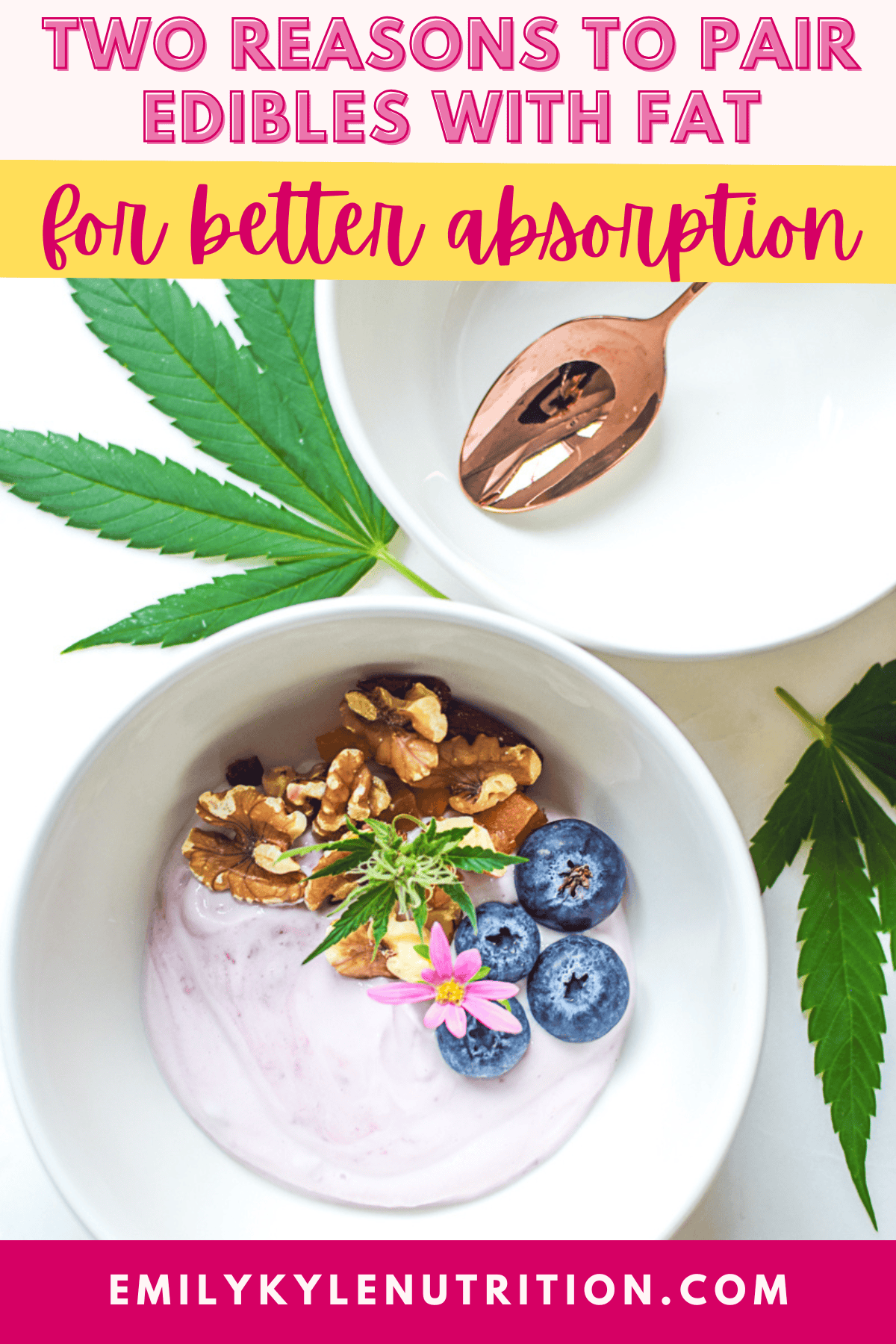 A picture of a cannabis breakfast bowl with text that says two good reasons to pair edibles with fat.