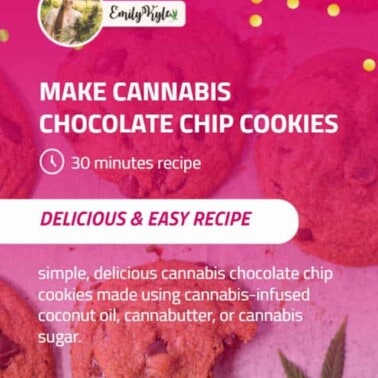chocolate-chip-and-cannabis-cookies
