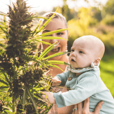 A picture of Emily Kyle and her baby with a cannabis plant.