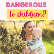 Text stating are cannabis plants dangerous to children?