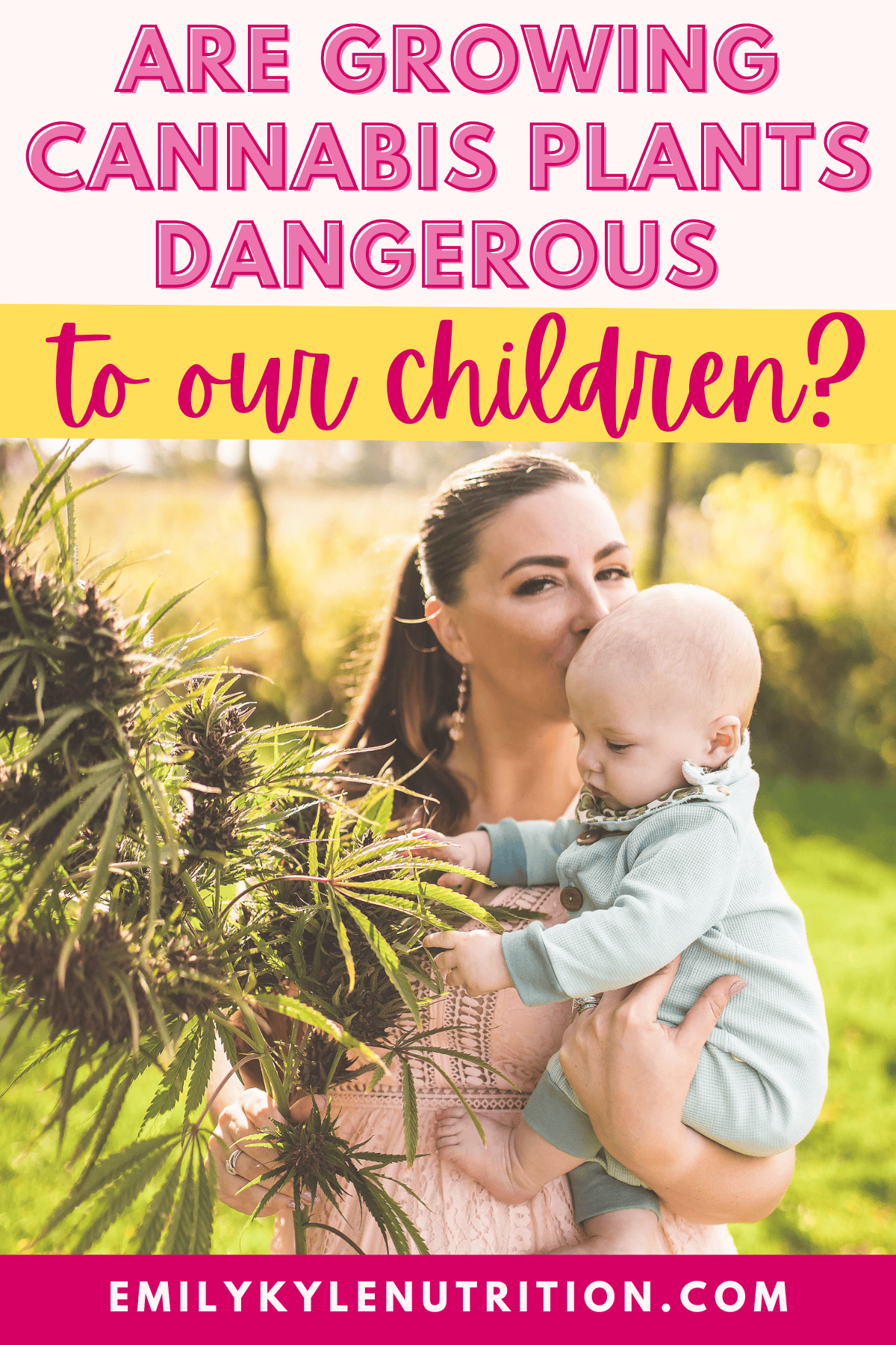 Text stating are cannabis plants dangerous to children?