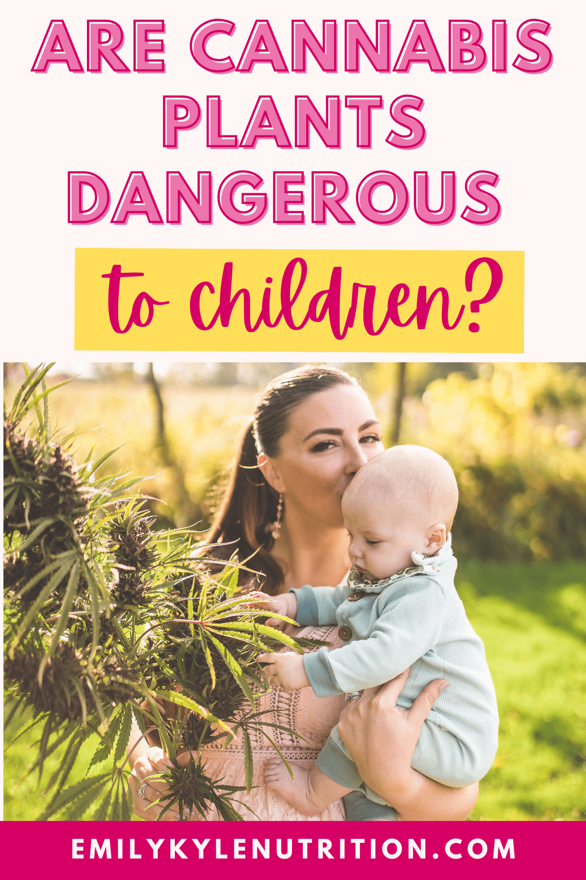 Text stating are cannabis grows dangerous to children?