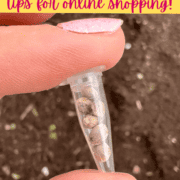 Text stating how to shop for cannabis seeds online