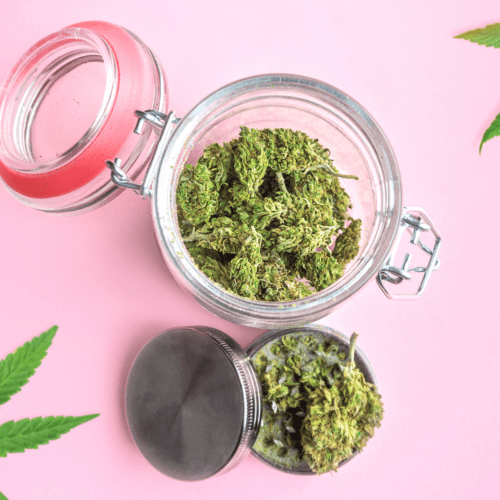 A picture of a pink background with a mason jar and cannabis.