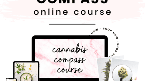 Text stating The Cannabis Compass Online Course.