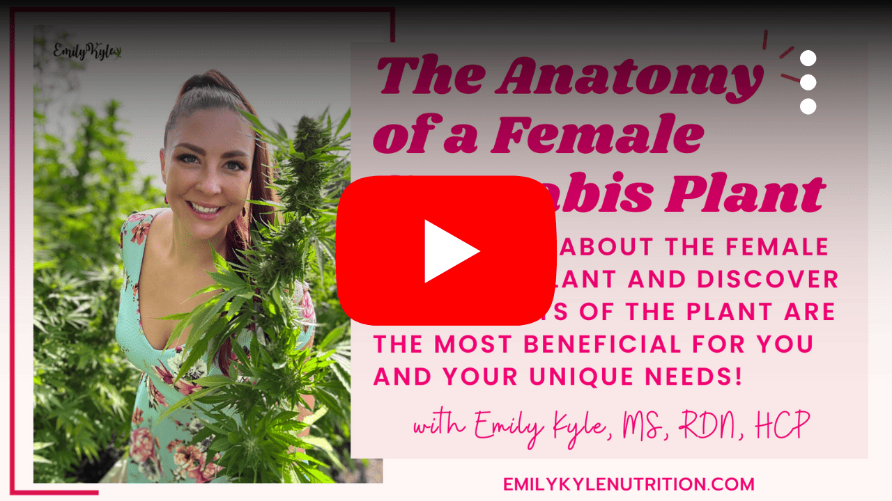 A Youtube Thumbnail for the Female Cannabis Plant video.