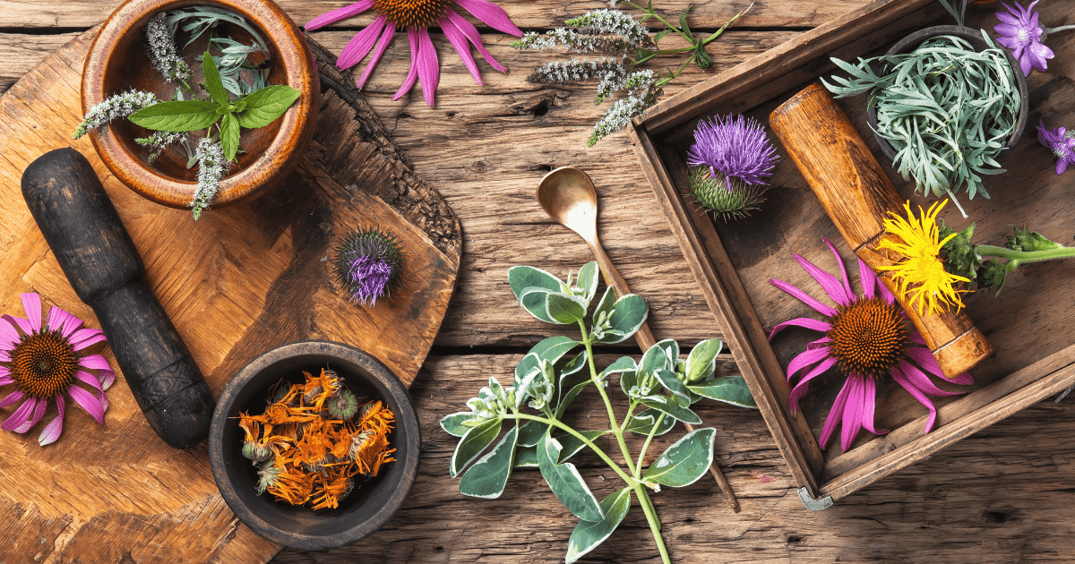 7 Herbs for Grounding, Balance and Wellness » Emily Kyle, MS, RDN