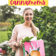 A picture of cannabis gifts with text that says the best cannabis gift guide for cannamonms.