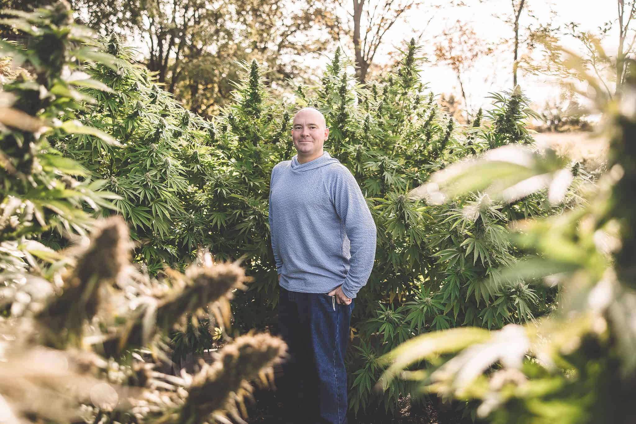 A picture of Phil Kyle in a cannabis garden.