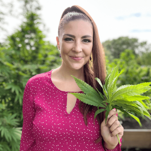A picture of Emily Kyle in a cannabis garden holding cannabis fan leaves to be used for edibles.