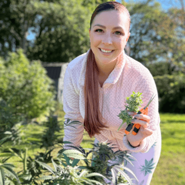 A picture of Emily Kyle harvesting a cannabis plant.