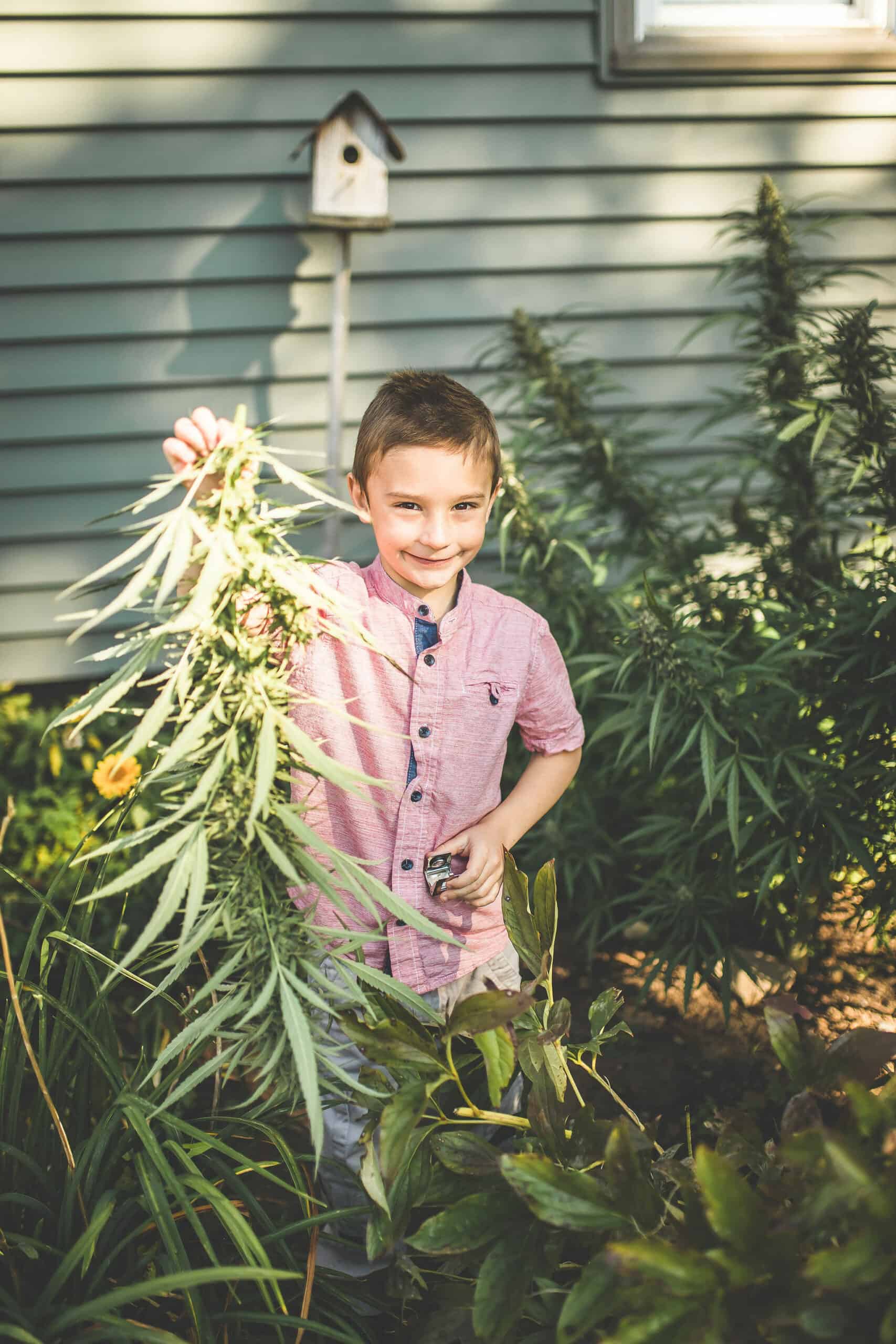 Emily Kyle's son Ransom during a cannabis harvest holding a cannabis branch.