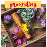 A picture of herbs and a spoon with text that says the 7 best herbs for grounding.