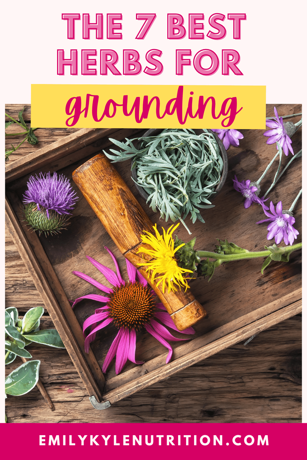 A picture of herbs and a spoon with text that says the 7 best herbs for grounding.