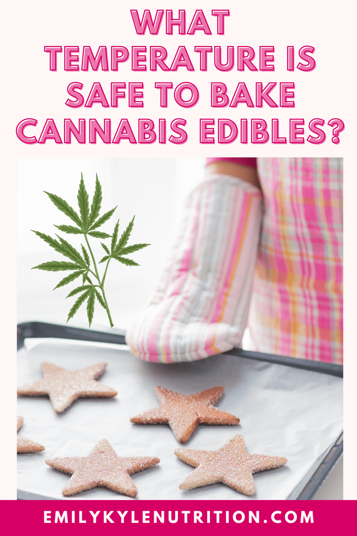 A picture of a oven mitt holding a cookie sheet with star-shaped cannabis cookies. 