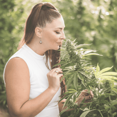 A picture of Emily Kyle smelling a cannabis plant.