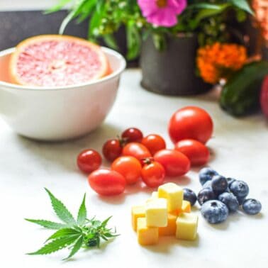 A picture of cannabis leaves, cheese, blueberries and tomatoes.