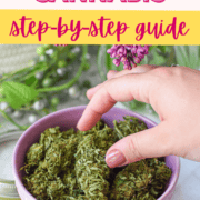 A pinterest pin with a bowl with cannabis buds and a hand grabbing one. Text says microdosing cannabis: step-by-step guide.