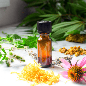 A picture of a cannabis tincture surrounded by fresh and dried herbs and flowers.