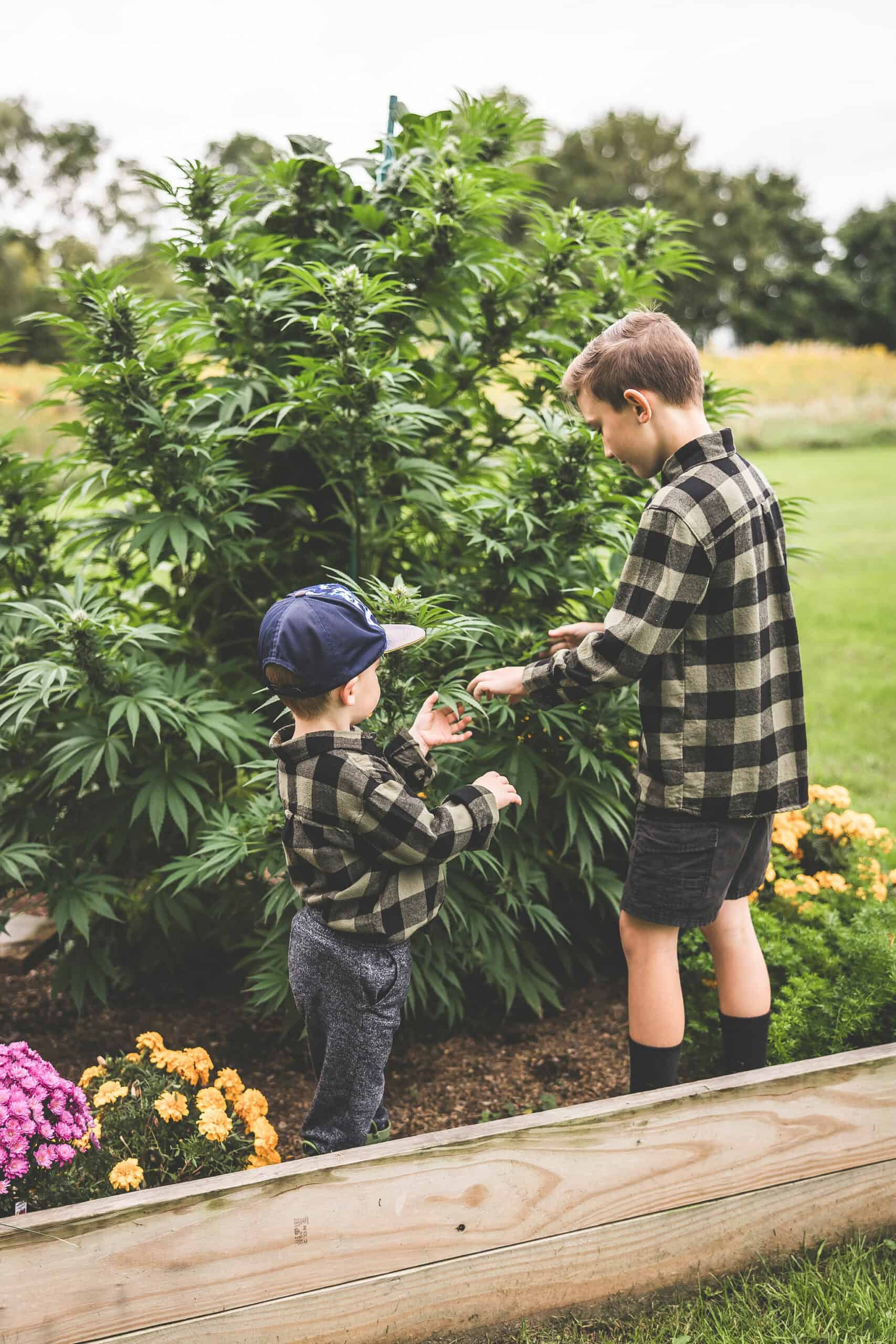 A picture of Emily Kyle and her family in a cannabis garden.