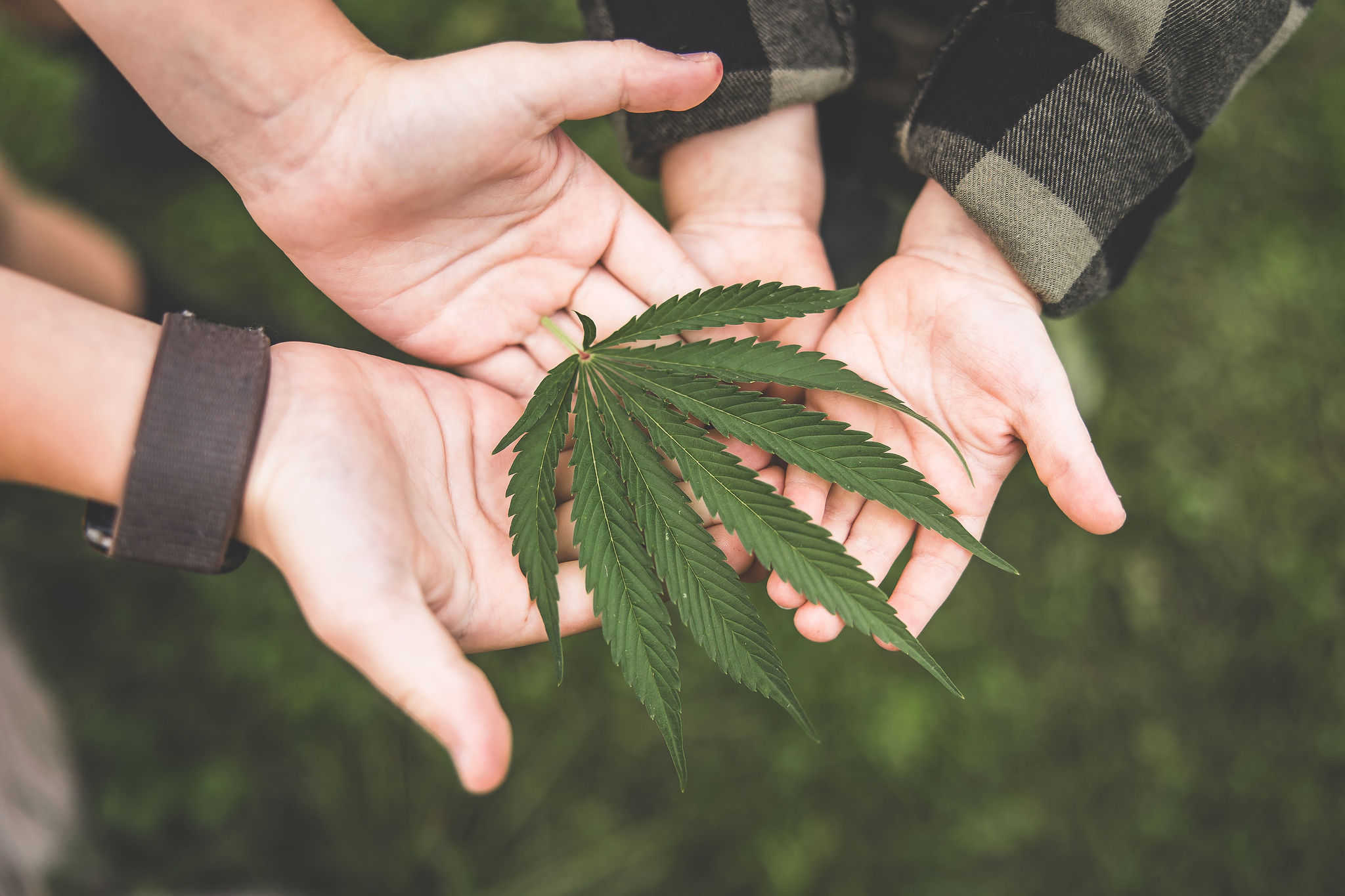 A picture of Emily Kyle and her family in a cannabis garden.