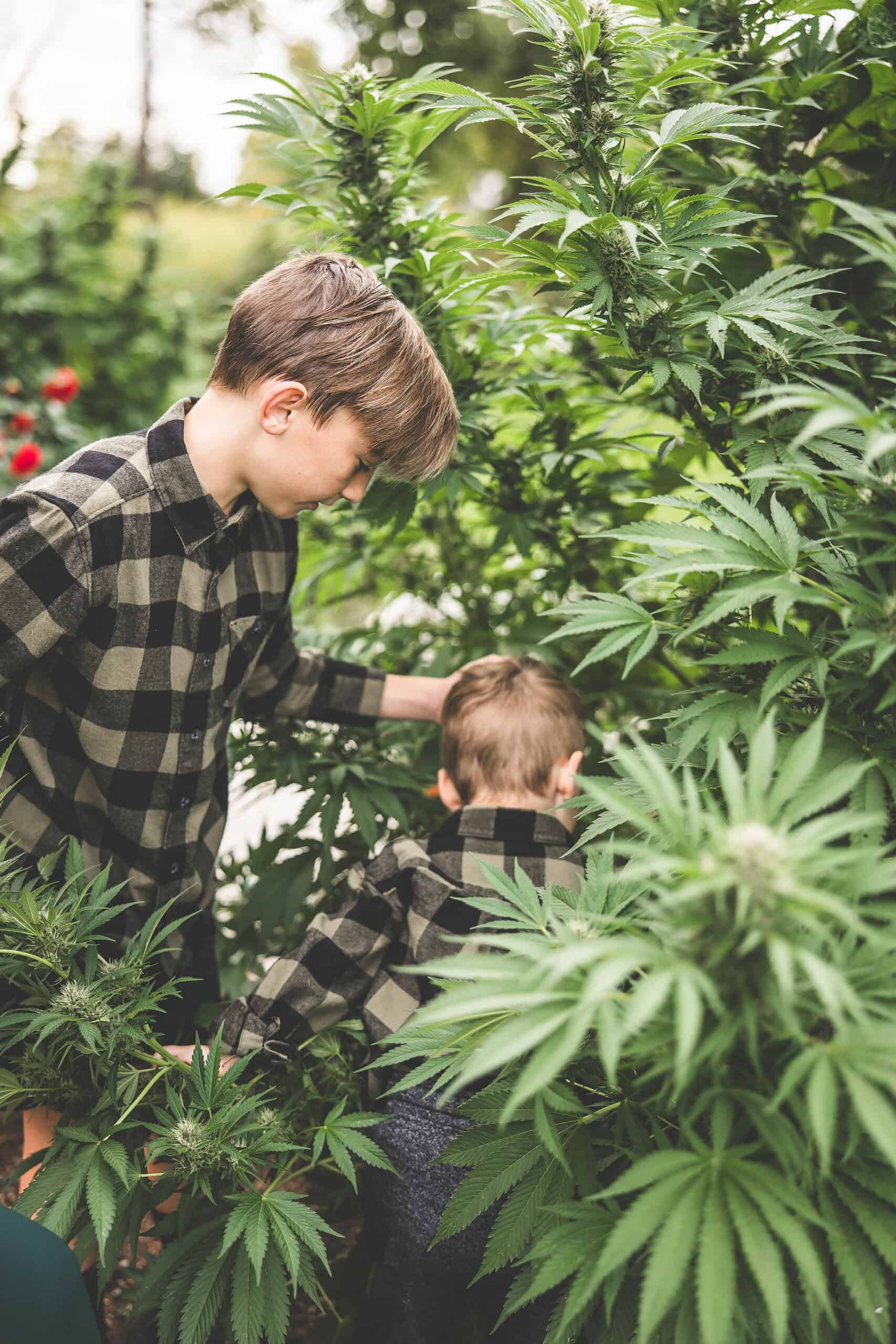 A picture of Emily Kyle and her family in a cannabis garden.