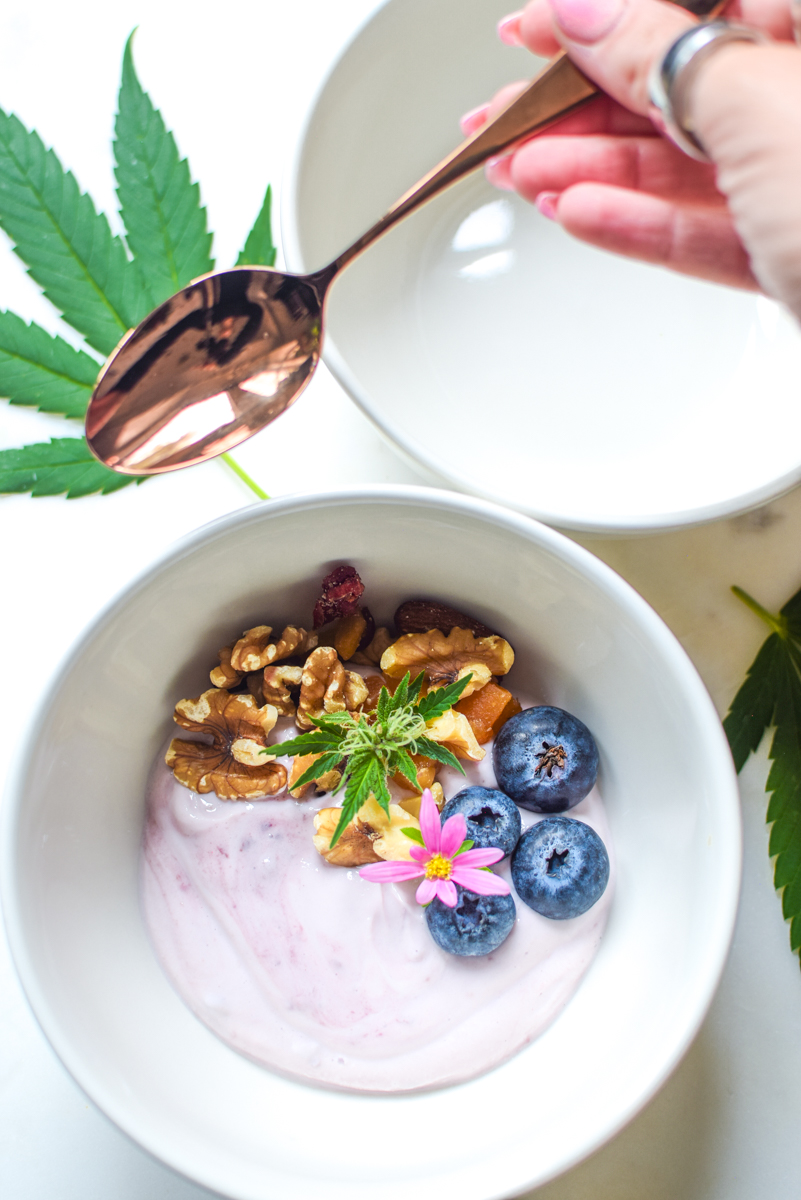 A picture of a bowl of yogurt with a cannabis leaf.