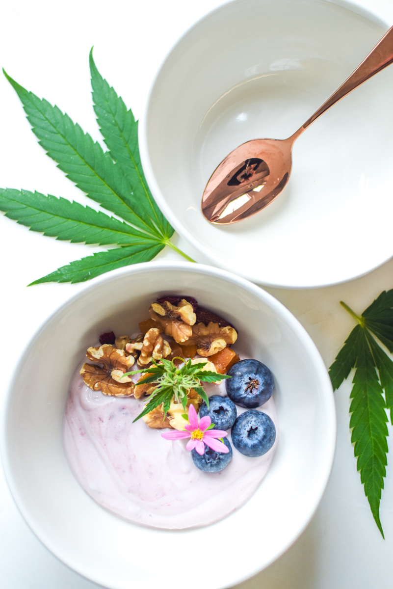 A picture of a bowl of yogurt with a cannabis leaf.