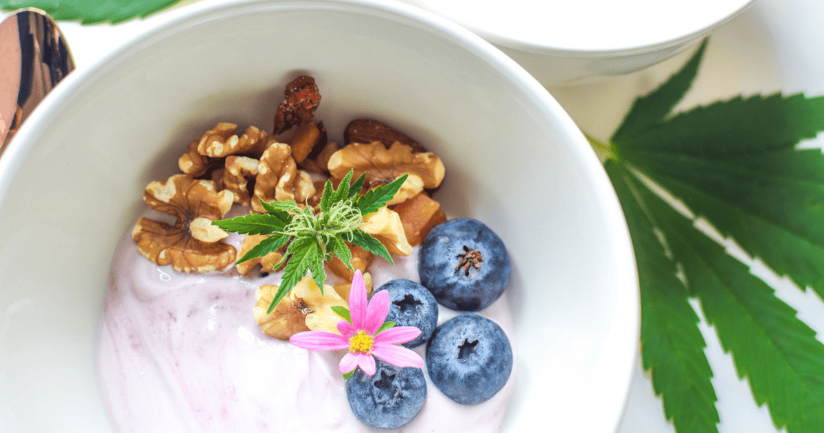Edible On Empty Or Full Stomach Do Edibles Work Better on A Full or Empty Stomach? » Emily Kyle, MS, RDN
