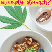 A picture of a bowl of yogurt with a cannabis leaf with text that says: 'Do Edibles Work Better on a Full or Empty Stomach?"
