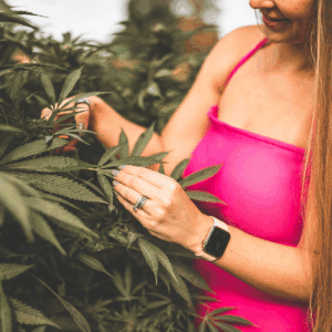 Cannabis plant, Emily Kyle in a pink dress, outdoor cannabis cultivation, health-focused, alternative wellness.