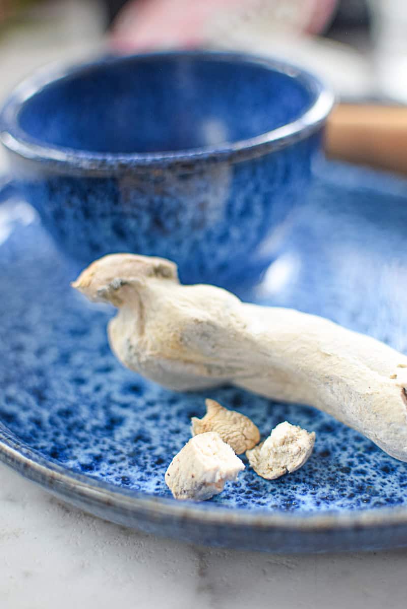 A picture of a dried mushroom. 