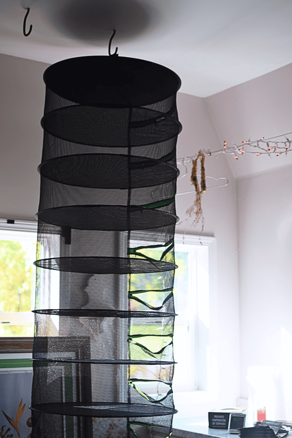 Clothes drying rack in a cozy, well-lit room with hanging laundry.