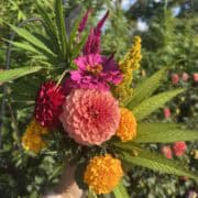 Vibrant flower bouquet with pink, yellow, and red blooms and green leaves.
